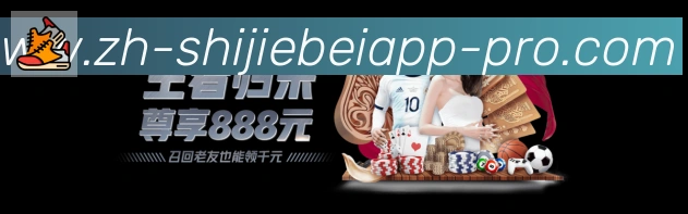 奖项4